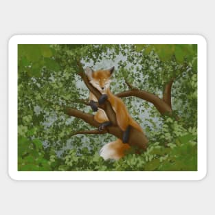 Sleepy Red Fox on a Tree Sticker